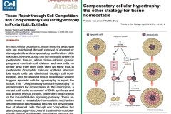 CCH