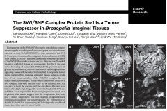 Cancer-research-2017