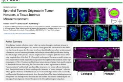 PLoS-Biol-2016