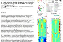 PLoSBiology_2020